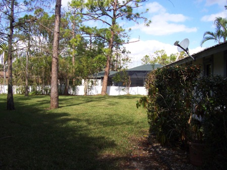 00398 West Outside View 1.JPG